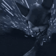 gif photo view