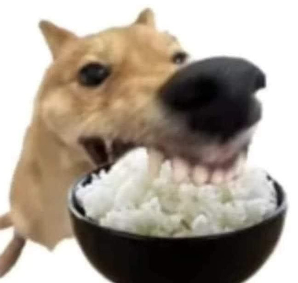 Стив Хуйс