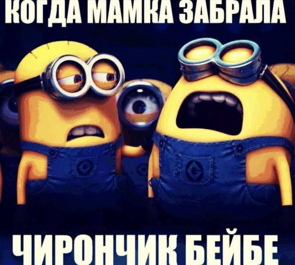 Марк Шамин