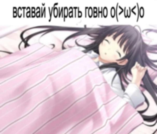 какашке