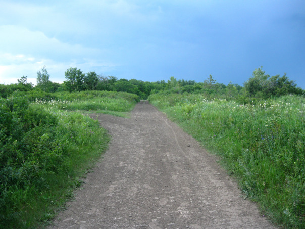Красиво
