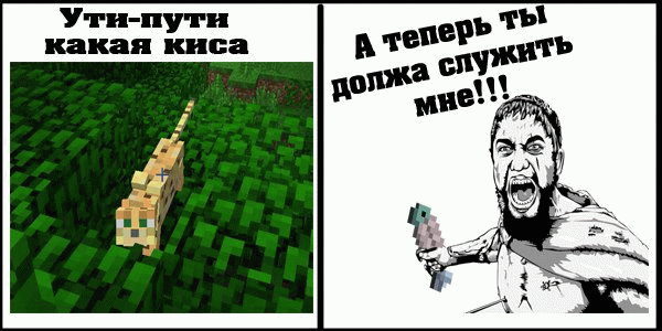 мемчик №6...