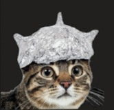 Trusishka Кот