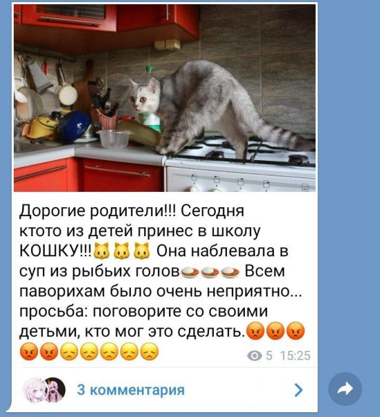 Из за этой ужасной 😱😱😱 новости столо...