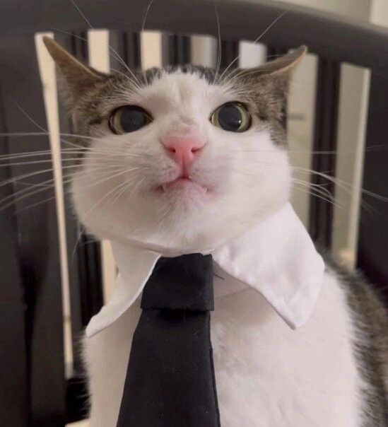 Даниил Фамилия