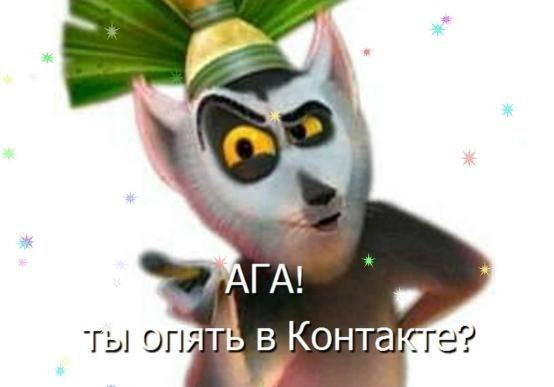 Фотографии со стены