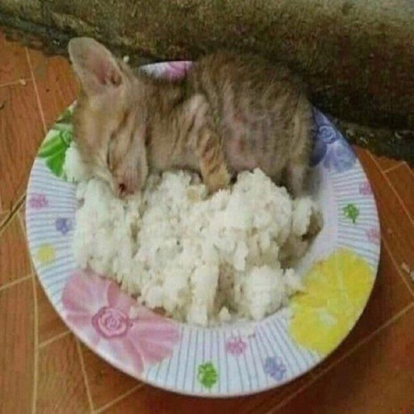 ы
