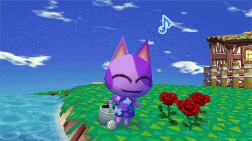gif photo view