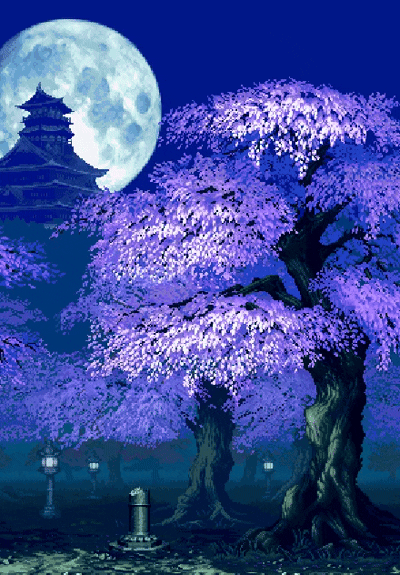 gif photo view