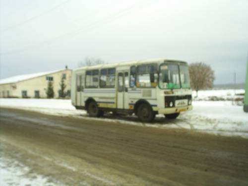 Арсений Пазиковед