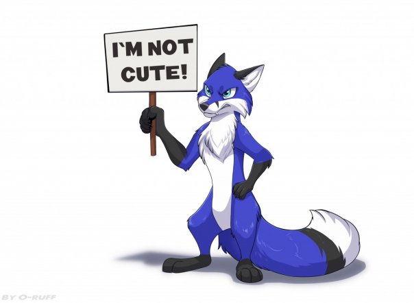 NOT CUTE
Автор: 0-ruff
https://www...