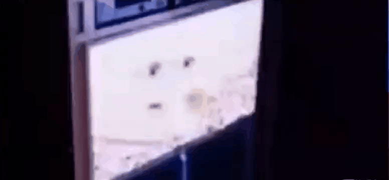 gif photo view